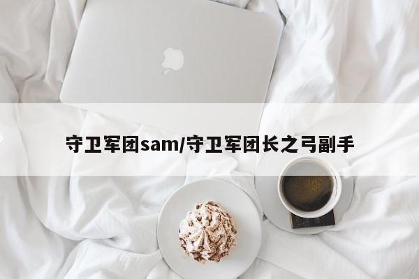 守卫军团sam/守卫军团长之弓副手