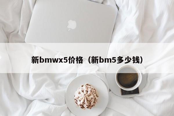 新bmwx5价格（新bm5多少钱）
