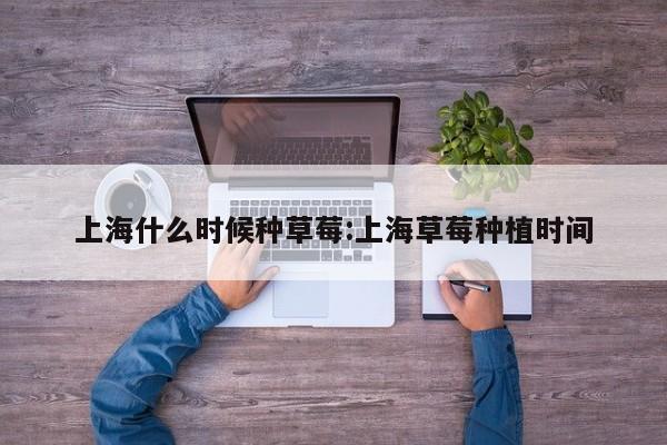 上海什么时候种草莓:上海草莓种植时间