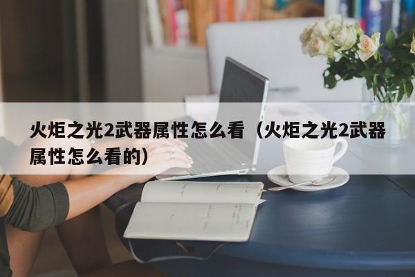 火炬之光2武器属性怎么看（火炬之光2武器属性怎么看的）