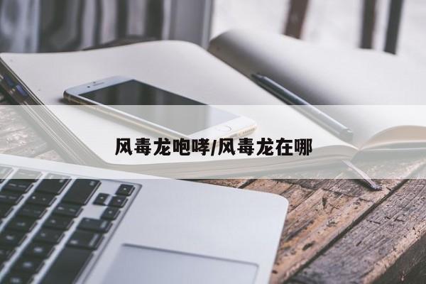 风毒龙咆哮/风毒龙在哪